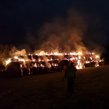 Strohballenbrand Enzheim