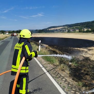 Flächenbrand an Kreisstraße